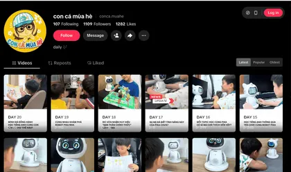 Kênh TikTok con cá mùa hè